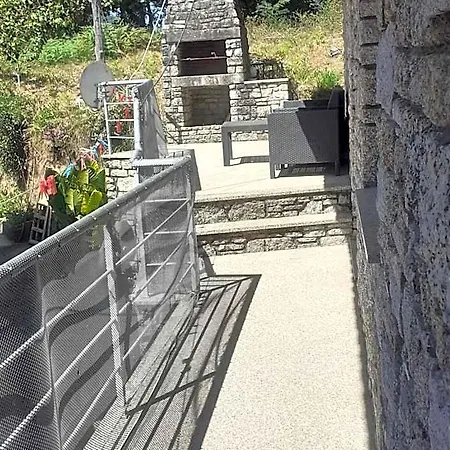 Os Girassois Da Carla * Guilhofrei