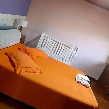 Os Girassois Da Carla *